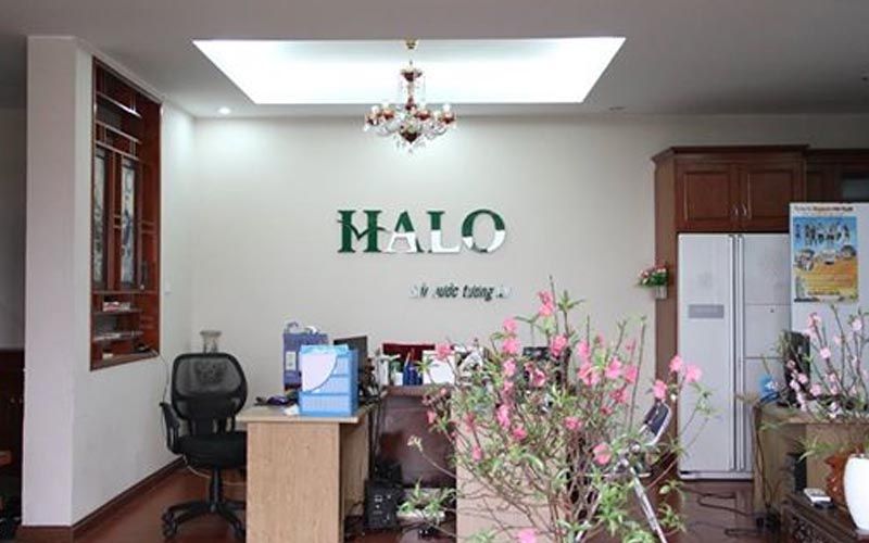Trung tâm du học HALO Education