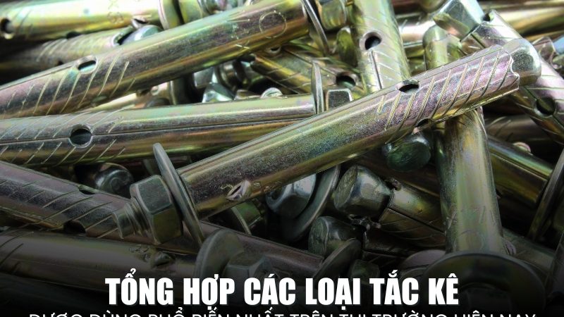 các loại tắc kê