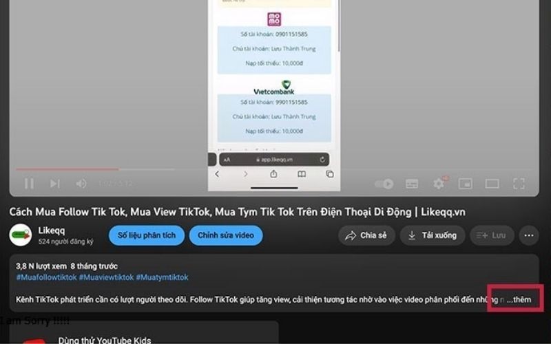 Đầu tư phần mô tả video chuyên nghiệp và thu hút